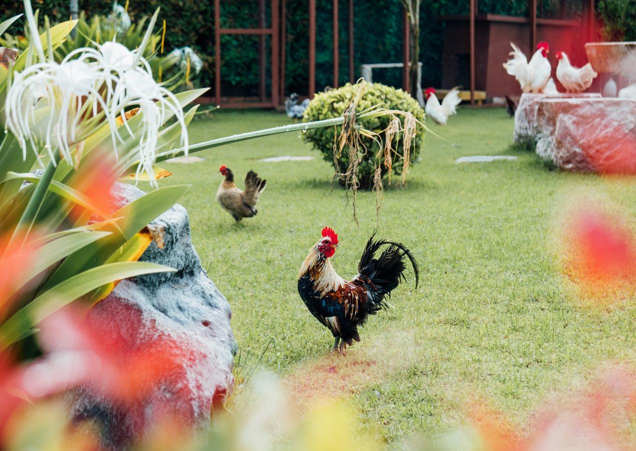 Rai Fahpratan Home And Garden Ban Pak Ngam  Ngoại thất bức ảnh