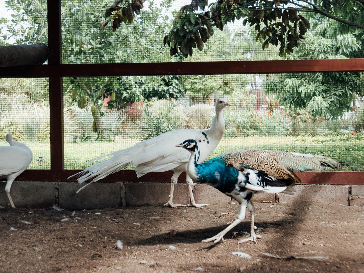 Rai Fahpratan Home And Garden Ban Pak Ngam  Ngoại thất bức ảnh