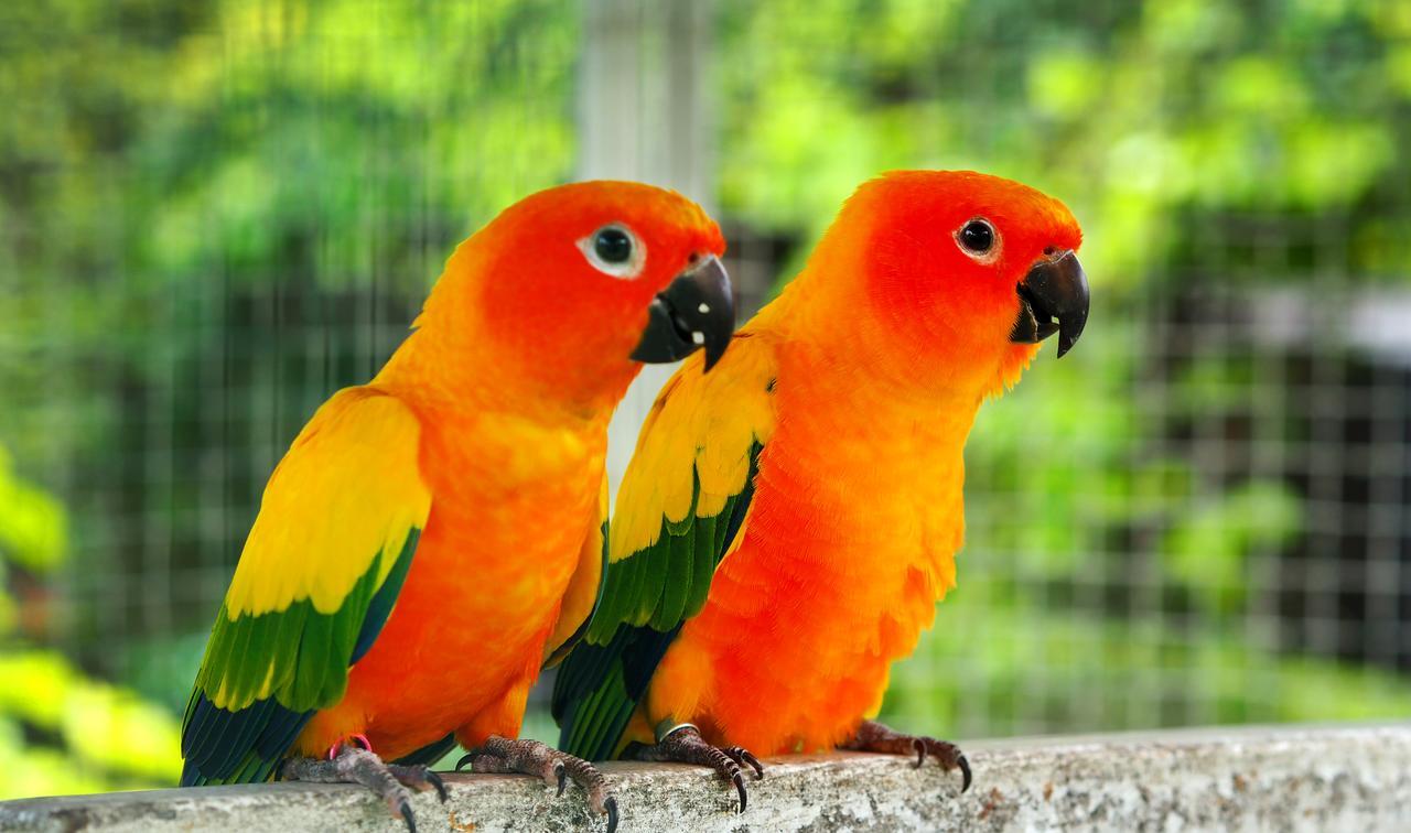 Rai Fahpratan Home And Garden Ban Pak Ngam  Ngoại thất bức ảnh